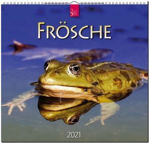 Frösche