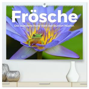 Frösche – Die wunderschöne Welt der bunten Hüpfer. (hochwertiger Premium Wandkalender 2024 DIN A2 quer), Kunstdruck in Hochglanz von Scott,  M.