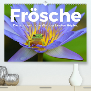 Frösche – Die wunderschöne Welt der bunten Hüpfer. (Premium, hochwertiger DIN A2 Wandkalender 2023, Kunstdruck in Hochglanz) von Scott,  M.