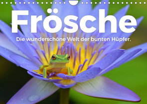 Frösche – Die wunderschöne Welt der bunten Hüpfer. (Wandkalender 2023 DIN A4 quer) von Scott,  M.