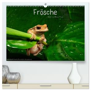 Frösche (hochwertiger Premium Wandkalender 2024 DIN A2 quer), Kunstdruck in Hochglanz von Trapp,  Benny