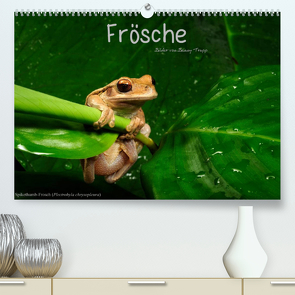 Frösche (Premium, hochwertiger DIN A2 Wandkalender 2023, Kunstdruck in Hochglanz) von Trapp,  Benny