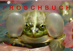 FROSCHBUCH (Wandkalender 2022 DIN A2 quer) von Mazunov,  Bogna