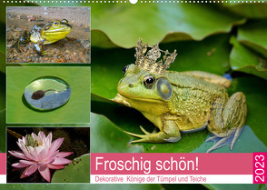 Froschig schön! Dekorative Könige der Tümpel und Teiche (Wandkalender 2023 DIN A2 quer) von Hurley,  Rose