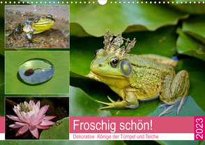 Froschig schön! Dekorative Könige der Tümpel und Teiche (Wandkalender 2023 DIN A3 quer) von Hurley,  Rose