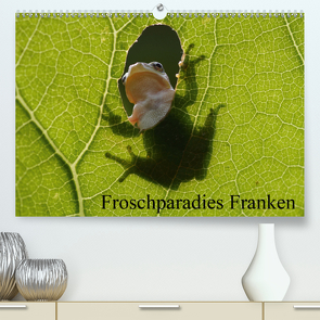 Froschparadies Franken (Premium, hochwertiger DIN A2 Wandkalender 2021, Kunstdruck in Hochglanz) von Bachmeier,  Günter