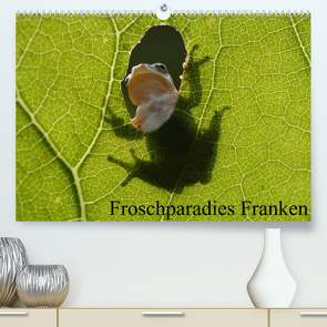 Froschparadies Franken (Premium, hochwertiger DIN A2 Wandkalender 2022, Kunstdruck in Hochglanz) von Bachmeier,  Günter