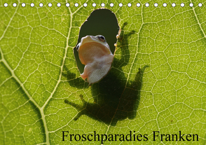 Froschparadies Franken (Tischkalender 2021 DIN A5 quer) von Bachmeier,  Günter