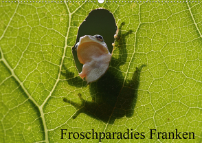 Froschparadies Franken (Wandkalender 2021 DIN A2 quer) von Bachmeier,  Günter