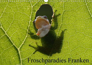 Froschparadies Franken (Wandkalender 2021 DIN A3 quer) von Bachmeier,  Günter