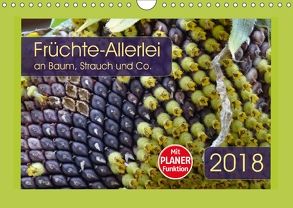 Früchte-Allerlei an Baum, Strauch und Co. (Wandkalender 2018 DIN A4 quer) von Keller,  Angelika