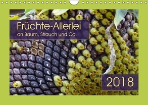 Früchte-Allerlei an Baum, Strauch und Co. (Wandkalender 2018 DIN A4 quer) von Keller,  Angelika