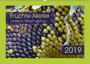 Früchte-Allerlei an Baum, Strauch und Co. (Wandkalender 2019 DIN A2 quer) von Keller,  Angelika