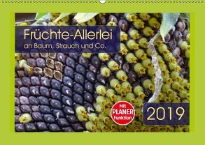 Früchte-Allerlei an Baum, Strauch und Co. (Wandkalender 2019 DIN A2 quer) von Keller,  Angelika