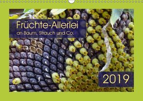 Früchte-Allerlei an Baum, Strauch und Co. (Wandkalender 2019 DIN A3 quer) von Keller,  Angelika