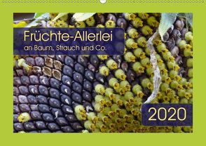 Früchte-Allerlei an Baum, Strauch und Co. (Wandkalender 2020 DIN A2 quer) von Keller,  Angelika