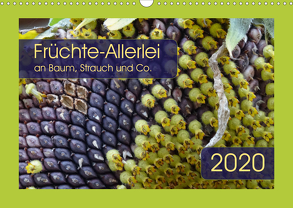 Früchte-Allerlei an Baum, Strauch und Co. (Wandkalender 2020 DIN A3 quer) von Keller,  Angelika