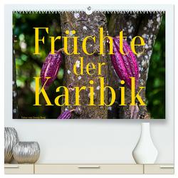 Früchte der Karibik (hochwertiger Premium Wandkalender 2024 DIN A2 quer), Kunstdruck in Hochglanz von T. Berg,  Georg