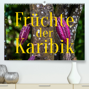 Früchte der Karibik (Premium, hochwertiger DIN A2 Wandkalender 2022, Kunstdruck in Hochglanz) von T. Berg,  Georg