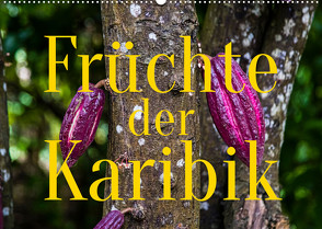 Früchte der Karibik (Wandkalender 2022 DIN A2 quer) von Berg,  Georg