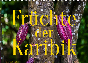 Früchte der Karibik (Wandkalender 2022 DIN A2 quer) von T. Berg,  Georg