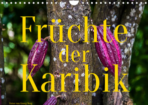 Früchte der Karibik (Wandkalender 2023 DIN A4 quer) von T. Berg,  Georg