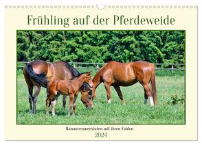 Frühling auf der Pferdeweide (Wandkalender 2024 DIN A3 quer), CALVENDO Monatskalender von Kleemann,  Claudia