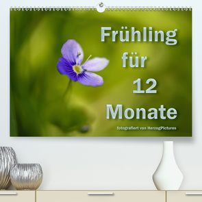 Frühling für 12 Monate (Premium, hochwertiger DIN A2 Wandkalender 2020, Kunstdruck in Hochglanz) von HerzogPictures