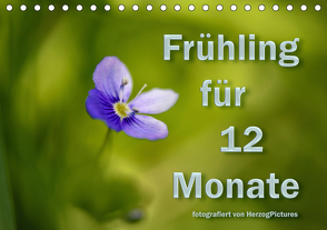 Frühling für 12 Monate (Tischkalender 2021 DIN A5 quer) von HerzogPictures