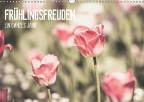 Frühlingsfreuden – Ein ganzes Jahr (Wandkalender 2019 DIN A3 quer) von Dobrindt,  Jeanette