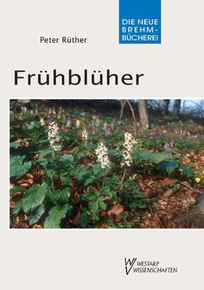 Frühblüher von Rüther,  Peter