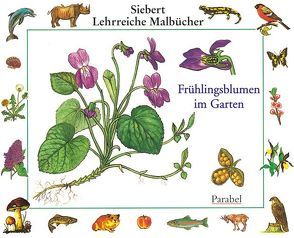 Frühlingsblumen im Garten von Eigner,  Erwin