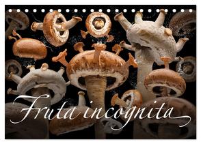 Fruta incognita – Die wundersame Welt des Fotografen Olaf Bruhn (Tischkalender 2024 DIN A5 quer), CALVENDO Monatskalender von Bruhn,  Olaf