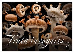 Fruta incognita – Die wundersame Welt des Fotografen Olaf Bruhn (Wandkalender 2024 DIN A2 quer), CALVENDO Monatskalender von Bruhn,  Olaf