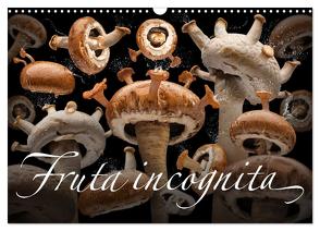 Fruta incognita – Die wundersame Welt des Fotografen Olaf Bruhn (Wandkalender 2024 DIN A3 quer), CALVENDO Monatskalender von Bruhn,  Olaf