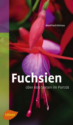 Fuchsien von Kleinau,  Manfried