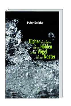 Füchse haben ihre Höhlen und Vögel ihre Nester von Deibler,  Peter