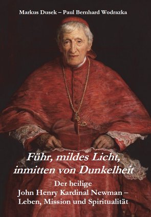 Führ, mildes Licht, inmitten von Dunkelheit von Dusek,  Markus, Wodrazka,  Paul Bernhard