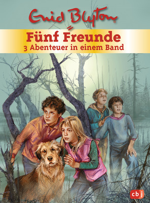 Fünf Freunde – 3 Abenteuer in einem Band von Blyton,  Enid