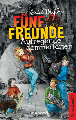 Fünf Freunde – Aufregende Sommerferien – DB 08 von Blyton,  Enid