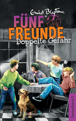 Fünf Freunde – Doppelte Gefahr – DB 06 von Blyton,  Enid