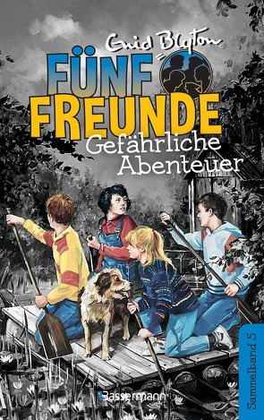 Fünf Freunde – Gefährliche Abenteuer – DB 05 von Blyton,  Enid