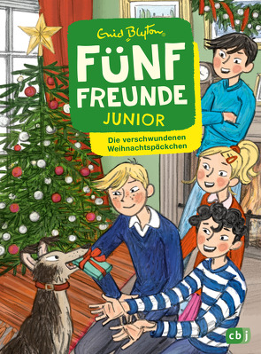 Fünf Freunde JUNIOR – Die verschwundenen Weihnachtspäckchen von Blyton,  Enid, Raidt,  Gerda