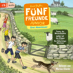 Fünf Freunde JUNIOR – Drei Abenteuer – Timmy, der Meisterdetektiv. Gefahr auf den Klippen. Das Geburtstags-Abenteuer von Blyton,  Enid, Clarén,  Marius