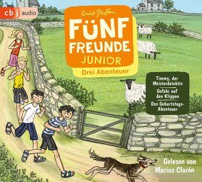 Fünf Freunde JUNIOR – Drei Abenteuer – Timmy, der Meisterdetektiv. Gefahr auf den Klippen. Das Geburtstags-Abenteuer von Blyton,  Enid, Clarén,  Marius