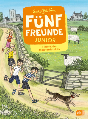 Fünf Freunde JUNIOR – Timmy, der Meisterdetektiv von Blyton,  Enid, Raidt,  Gerda