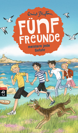 Fünf Freunde meistern jede Gefahr von Blyton,  Enid, Lang,  Elisabeth, Raidt,  Gerda