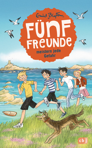 Fünf Freunde meistern jede Gefahr von Blyton,  Enid, Lang,  Elisabeth, Raidt,  Gerda