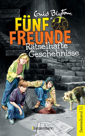 Fünf Freunde – Rätselhafte Geschehnisse – DB 11 von Blyton,  Enid