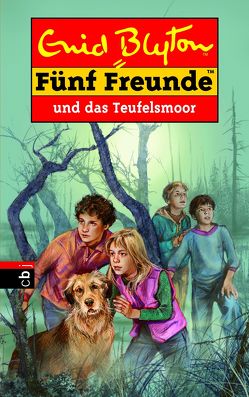 Fünf Freunde und das Teufelsmoor von Blyton,  Enid, Christoph,  Silvia